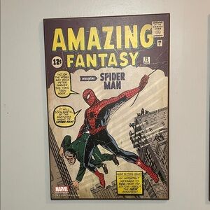 Amazing Fantasy Spider-Man wall art